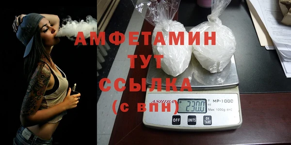 индика Горнозаводск