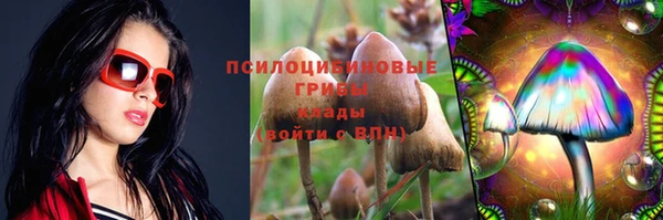 мяу мяу мука Алексеевка