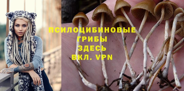 мдпв Краснослободск