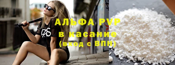 амф Горняк